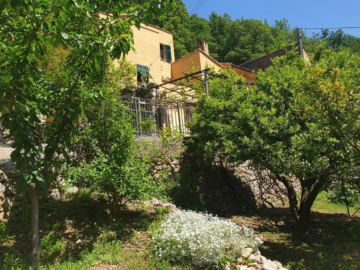 Agriturismo Alveare Villa Finale Ligure Exterior foto